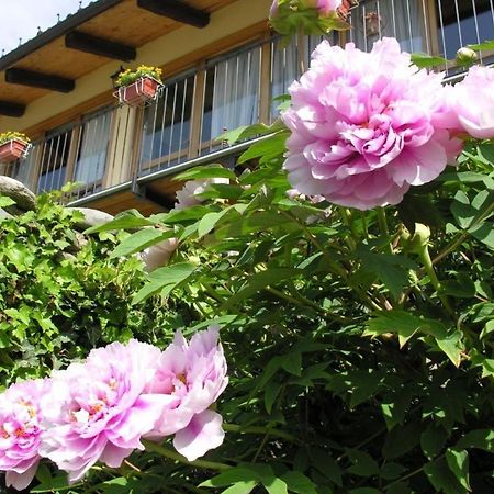 Il Giardino Di Iside Bed & Breakfast Roletto Eksteriør bilde