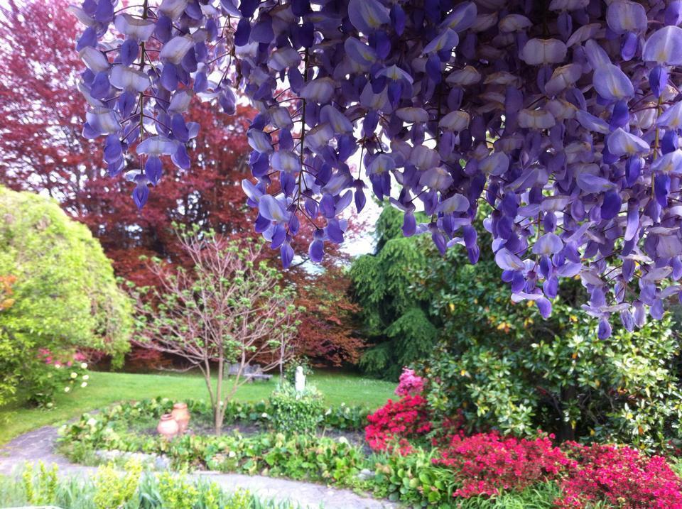 Il Giardino Di Iside Bed & Breakfast Roletto Eksteriør bilde